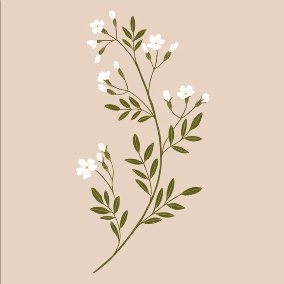 Meet your posher, Baglady - Picture 4 of 6